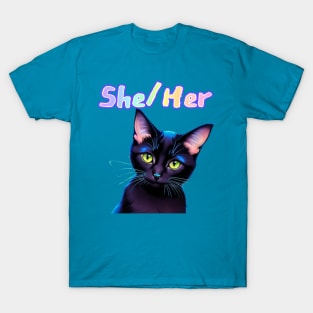 Batman - She/Her Rainbow Text Teal T-Shirt